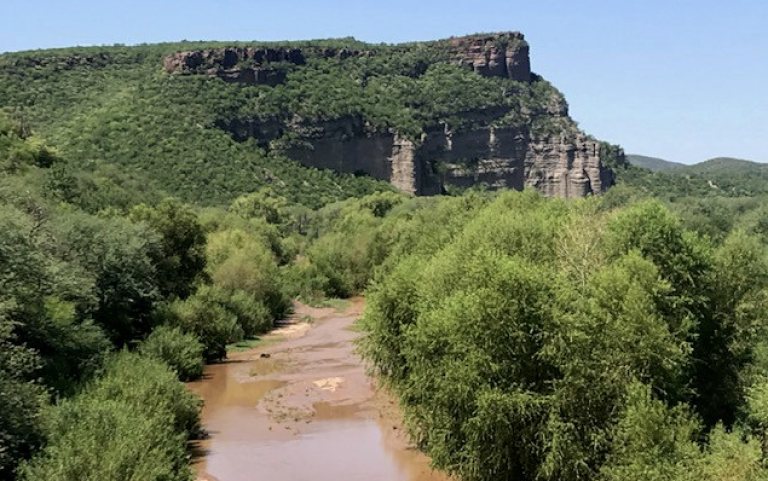 Daños ambientales por derrame tóxico en el río Sonora. Foto de EFE