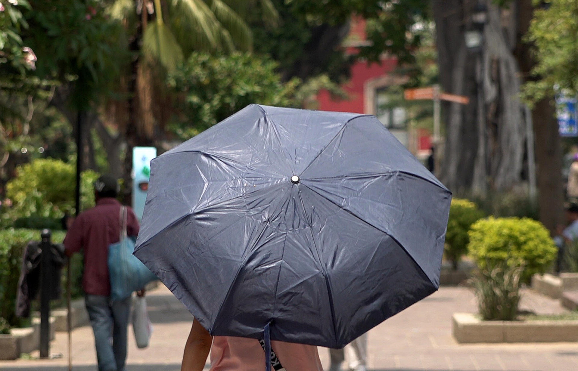 Suman 112 Muertes En México Por Temporada De Calor Secretaría De Salud 3106