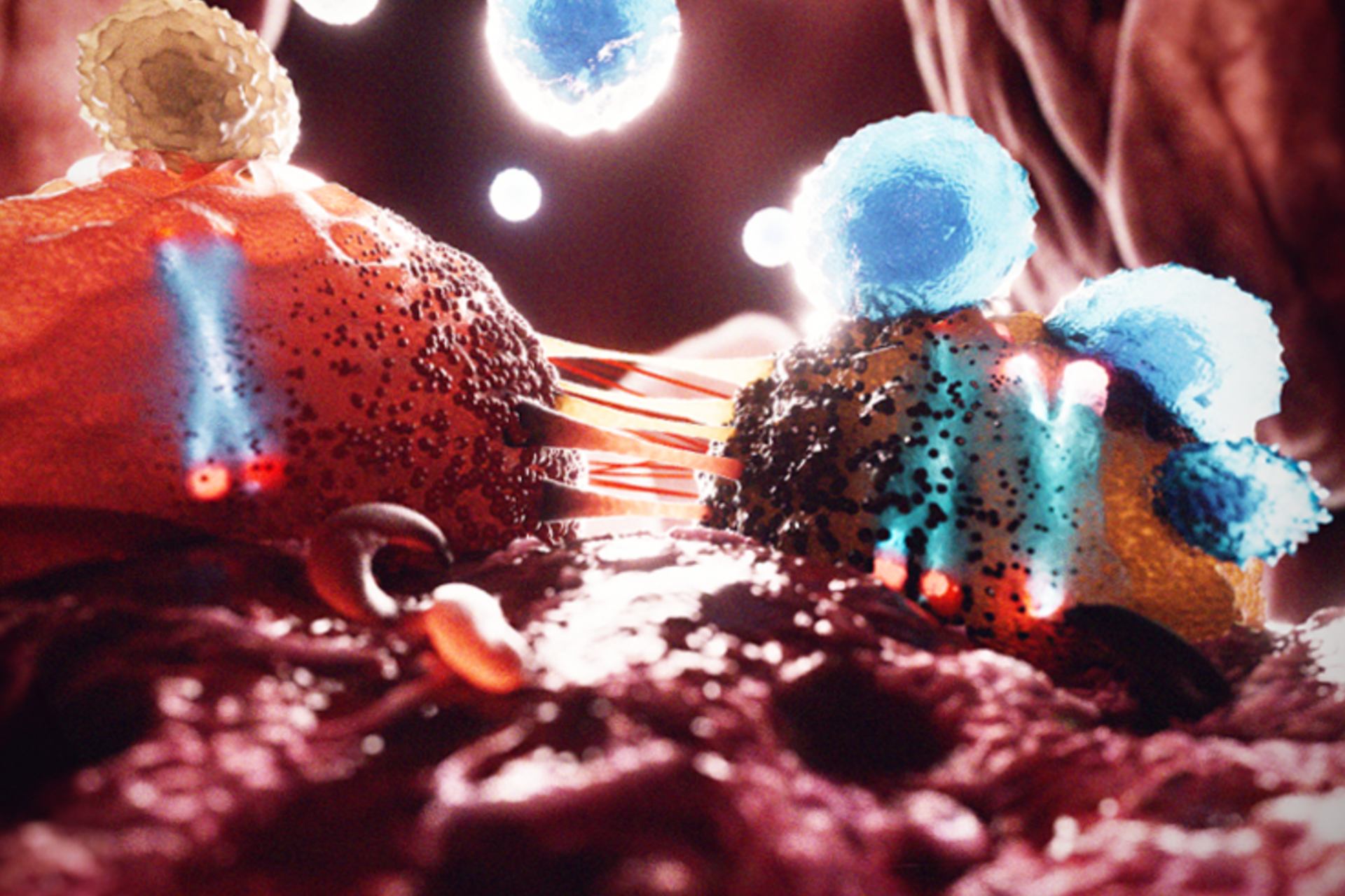 Pérdida del cromosoma Y en los hombres, con la edad, favorece el crecimiento del cáncer