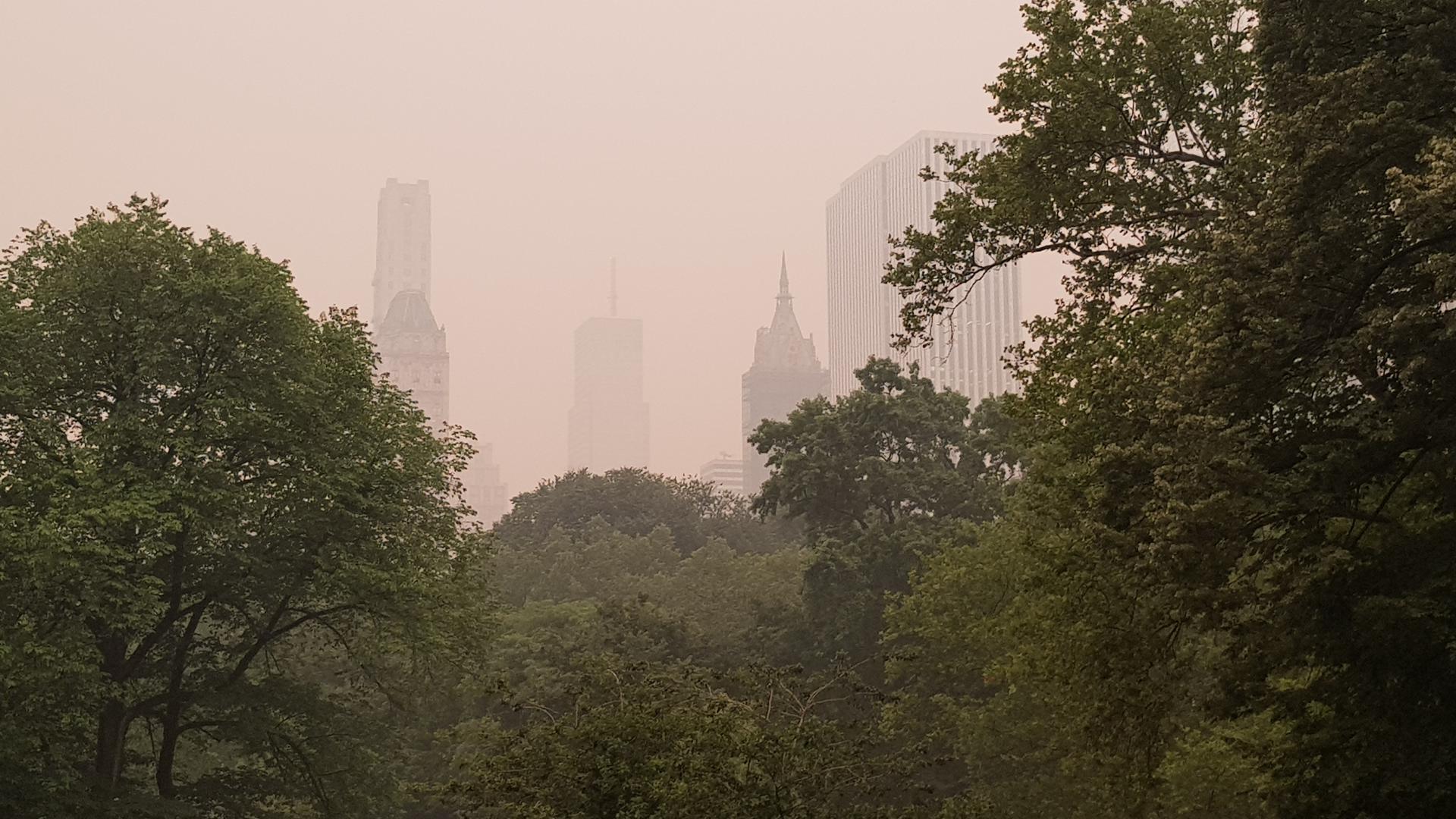Mejora calidad del aire en el noreste de EE.UU. mientras el humo se disipa hacia el sur Mejora calidad del aire en el noreste de EE.UU. mientras el humo se disipa hacia el sur