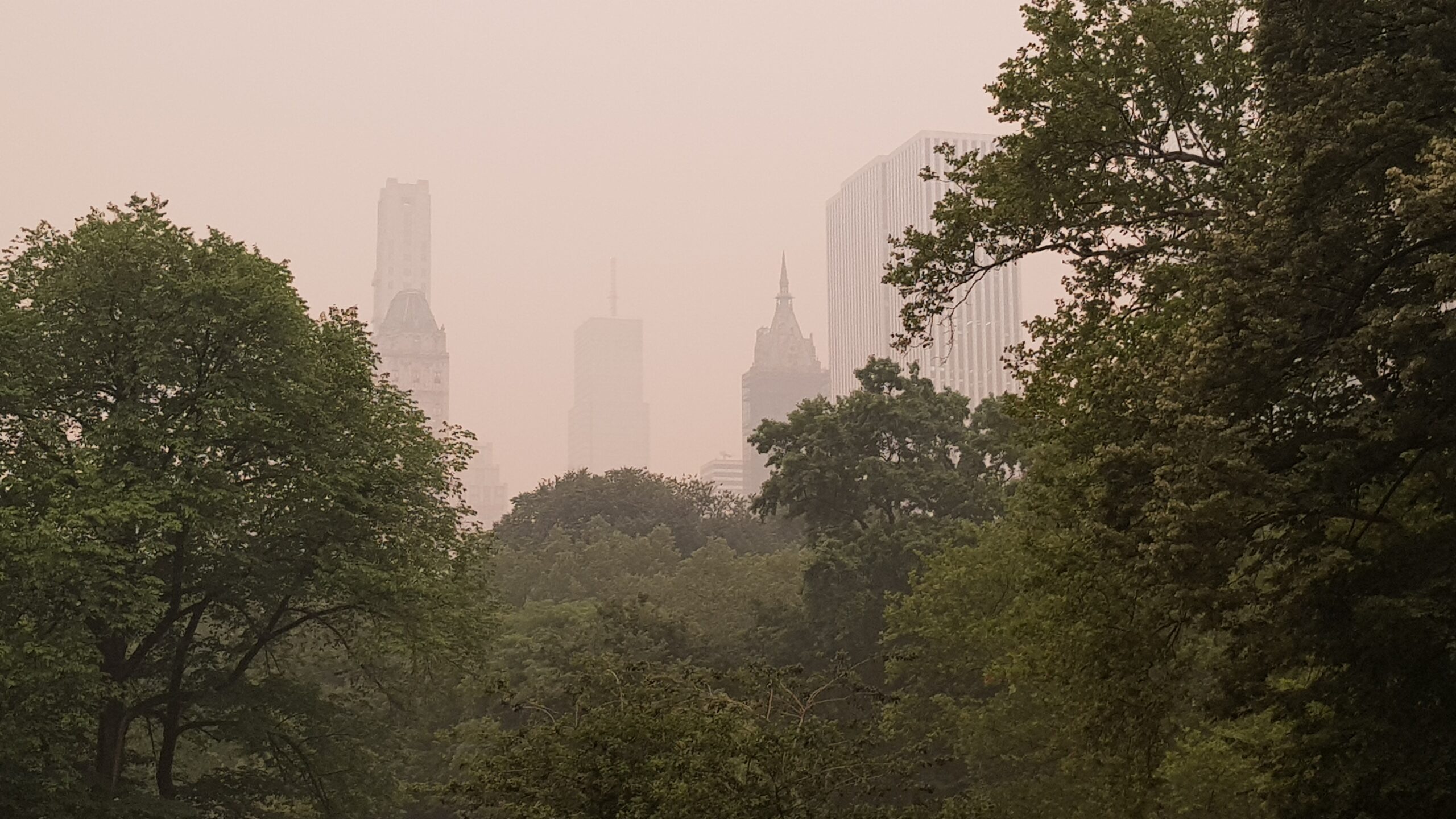 Washington DC y Chicago sufren afectaciones por incendios en Canadá Washington DC y Chicago sufren afectaciones por incendios en Canadá