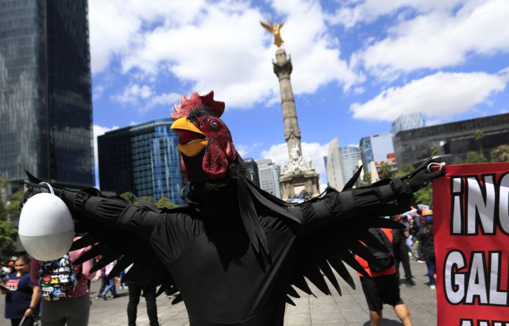#Video Marchan en CDMX contra el maltrato animal - marcha-animales-mexico-1024x657