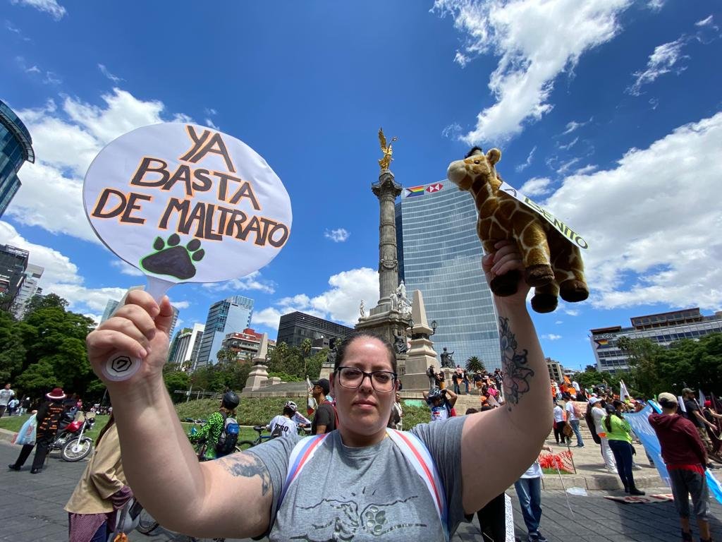 Video Marchan en CDMX contra el maltrato animal