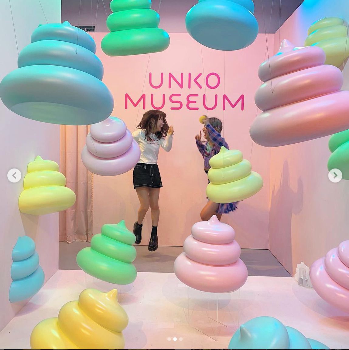 Unko: el museo más lindo y tierno del excremento humano