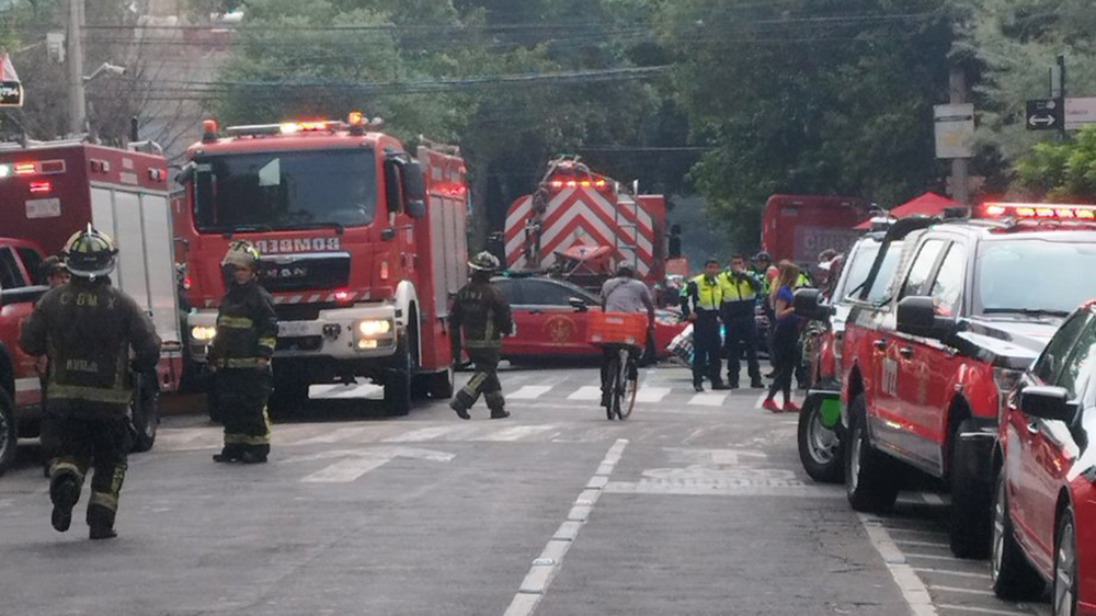 #Video Incendio en la Nápoles deja 6 perros muertos
