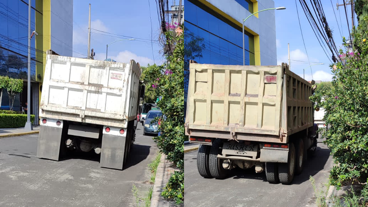 Invade desarrolladora tercera sección del Bosque de Chapultepec Invade desarrolladora tercera sección del Bosque de Chapultepec