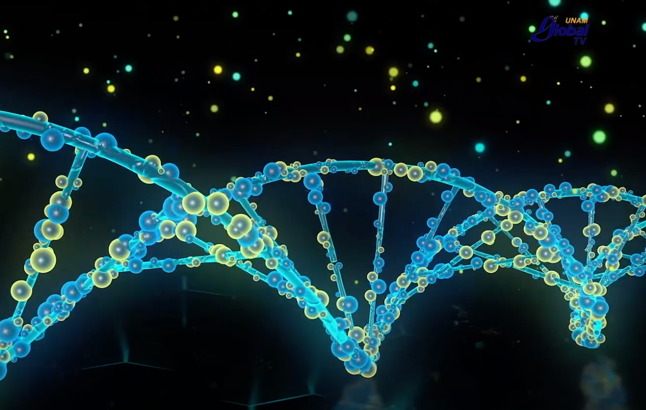 Con virus ‘depredadores’ buscan combatir bacterias resistentes a los antibióticos