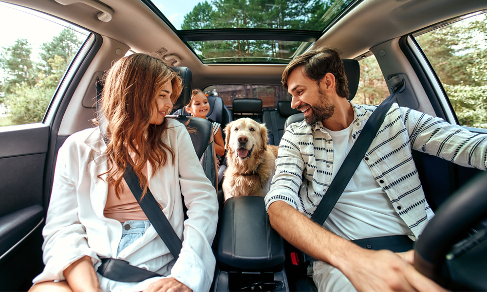 La tranquilidad y protección que estás buscando la encuentras en el Centro de Seguros Liverpool La tranquilidad y protección que estás buscando la encuentras en el Centro de Seguros Liverpool