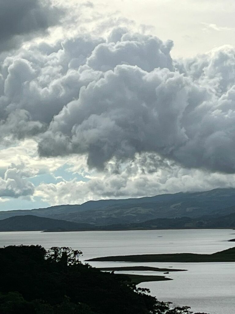 Pura Vida - dz-pura-vida-4-768x1024