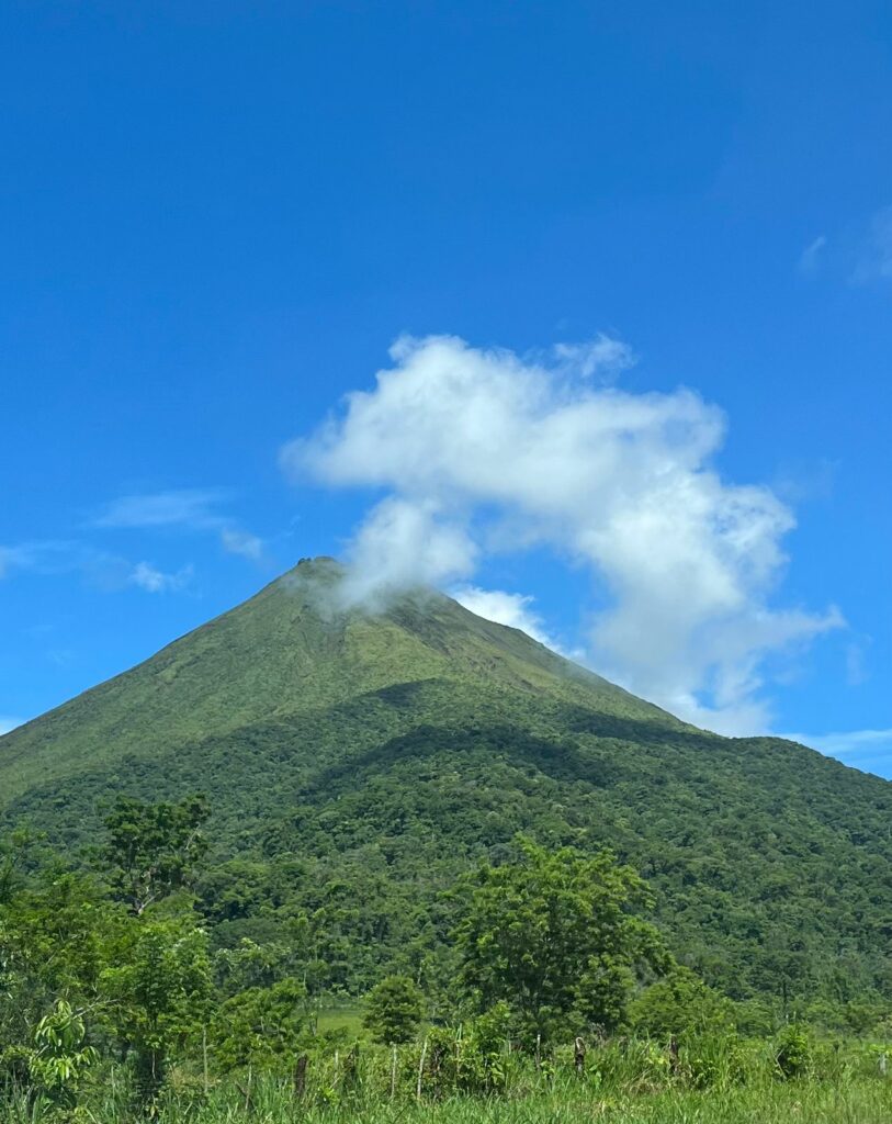 Pura Vida - dz-pura-vida-5-813x1024
