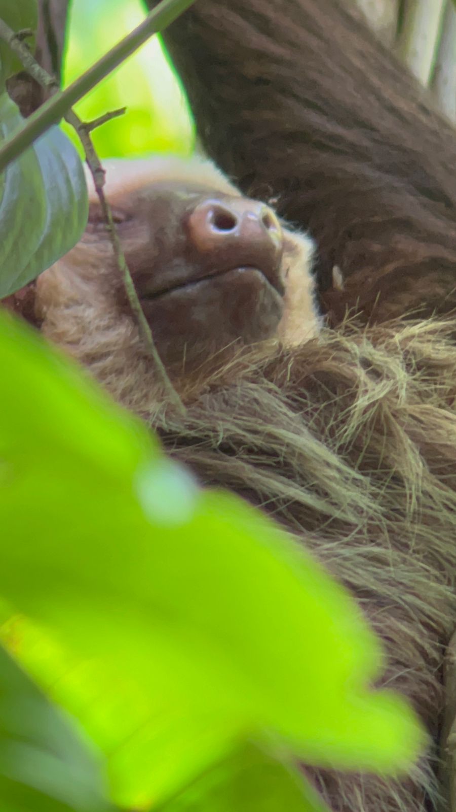 Pura Vida - dz-pura-vida-7