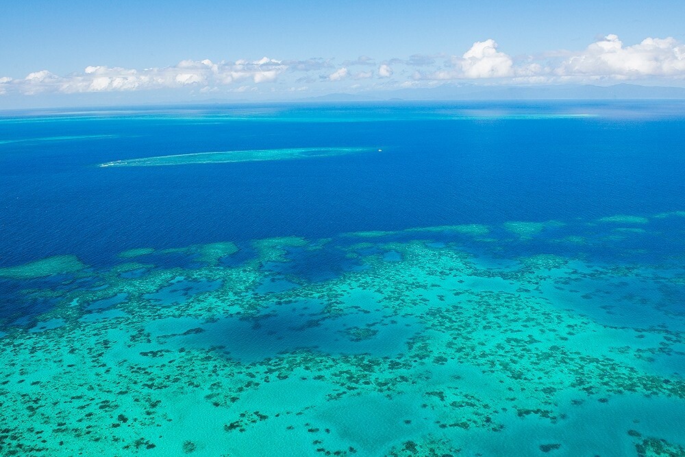 La Gran Barrera de Coral queda fuera de la lista de patrimonio en peligro de la Unesco