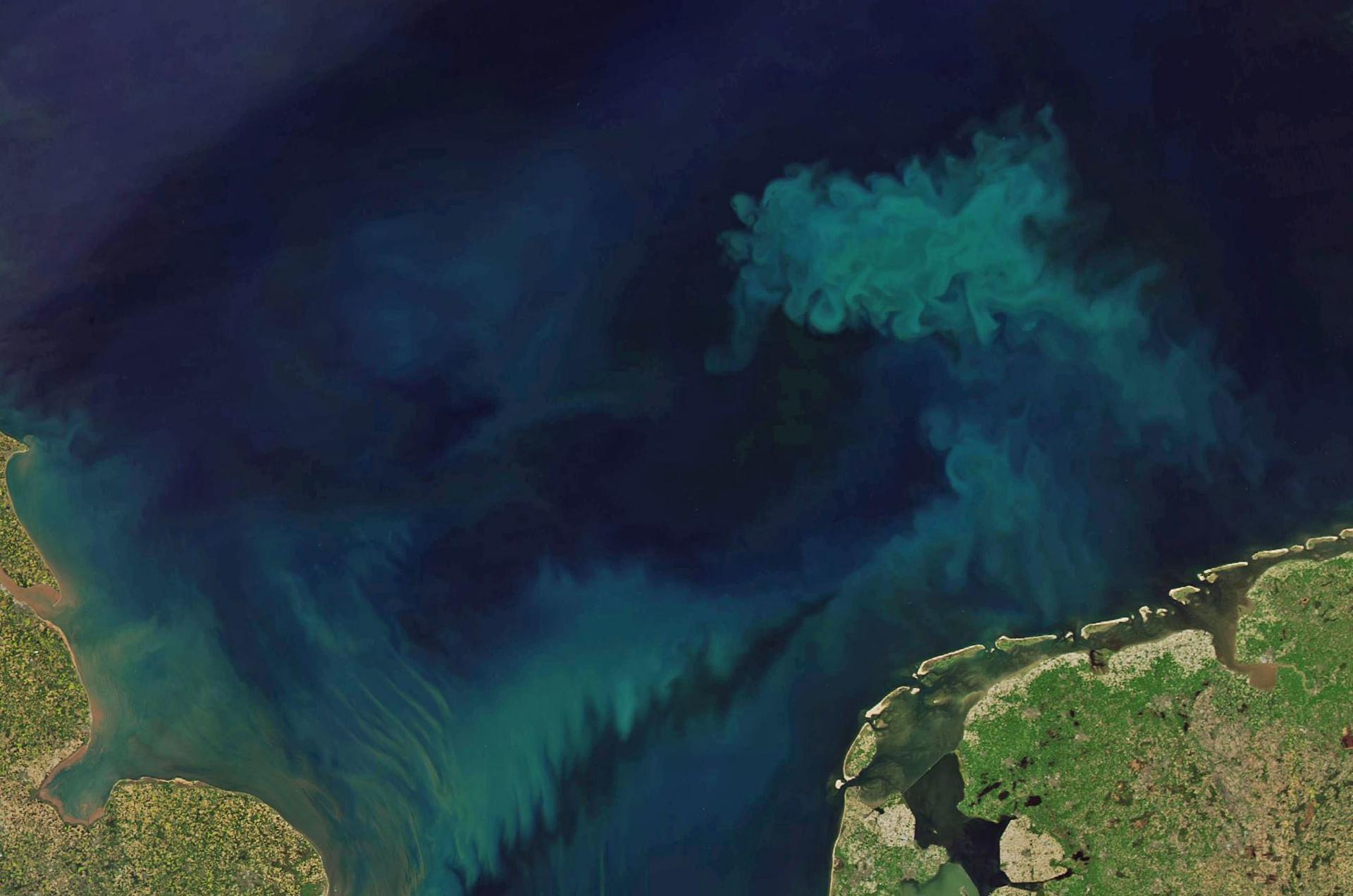 climate change changes the color of the ocean;  It reflects changes in ecosystems