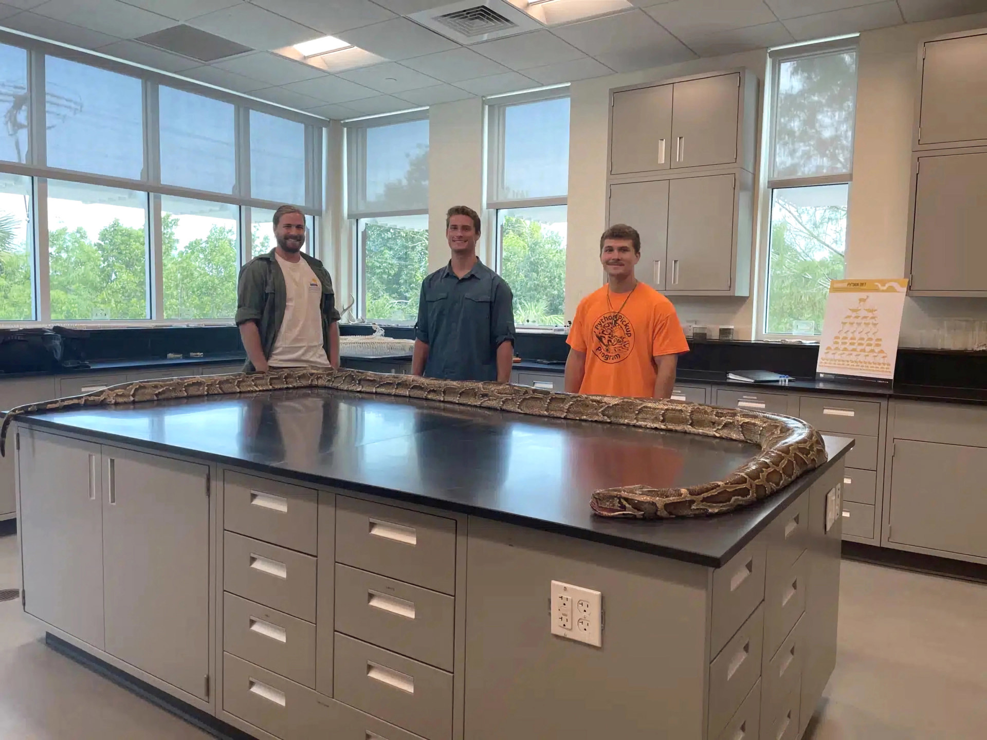 Un grupo de amigos caza a la pitón más grande registrada hasta ahora en Florida