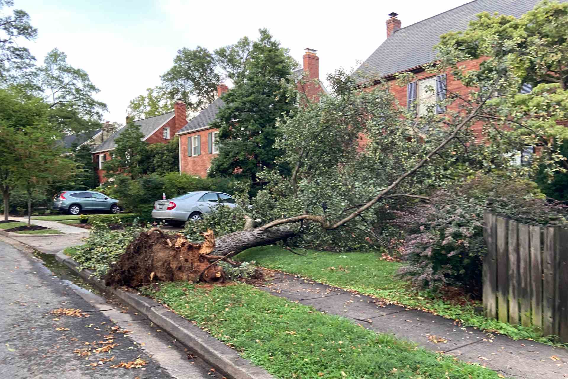 Tormentas dejan a unas 200 mil personas sin electricidad en Washington D.C. Tormentas dejan a unas 200 mil personas sin electricidad en Washington D.C.