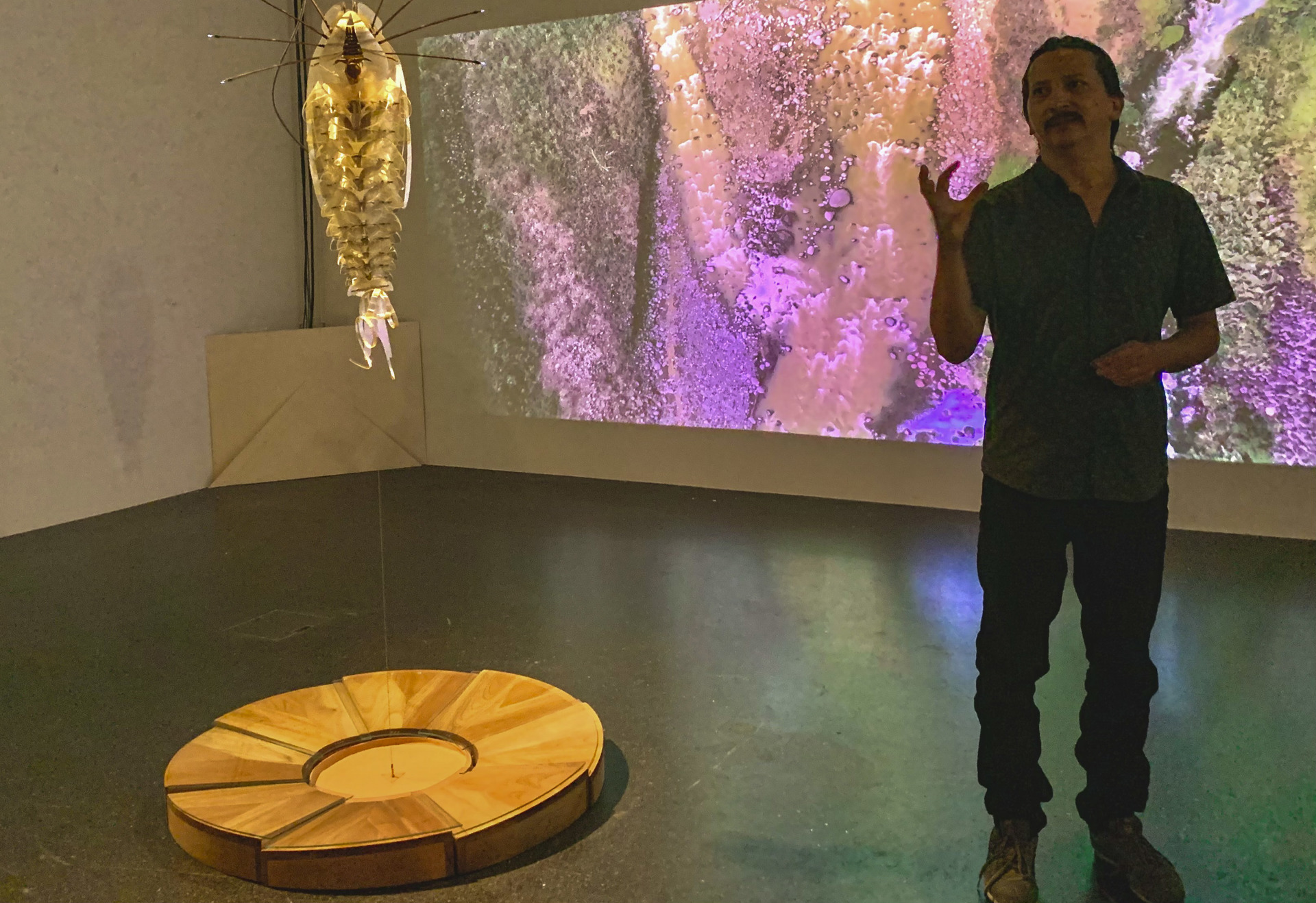 El Museo Lentos de Linz dedica una muestra al premiado arte experimental de América Latina