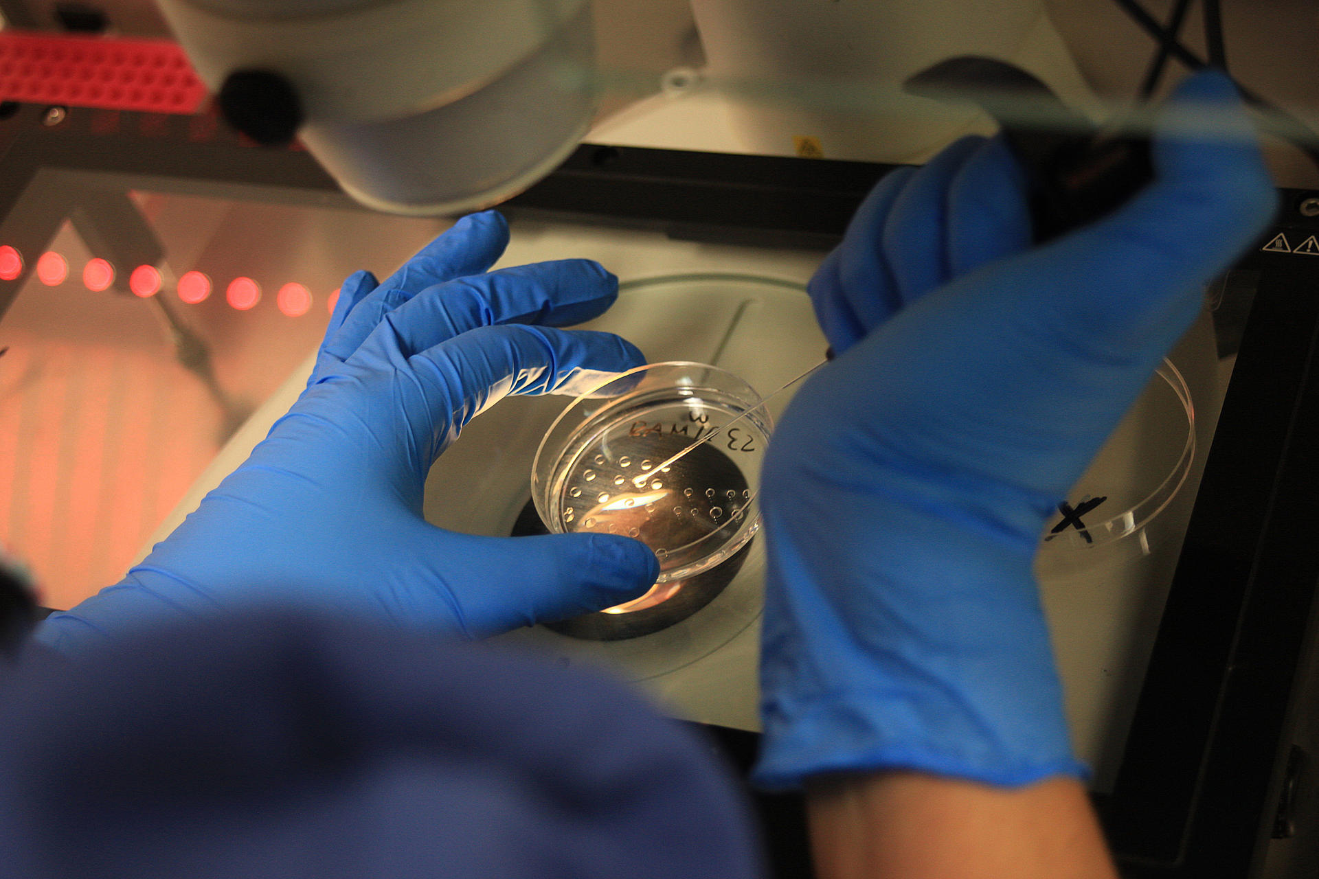 Ciudad Juárez se afianza como destino para estadounidenses que buscan un embarazo