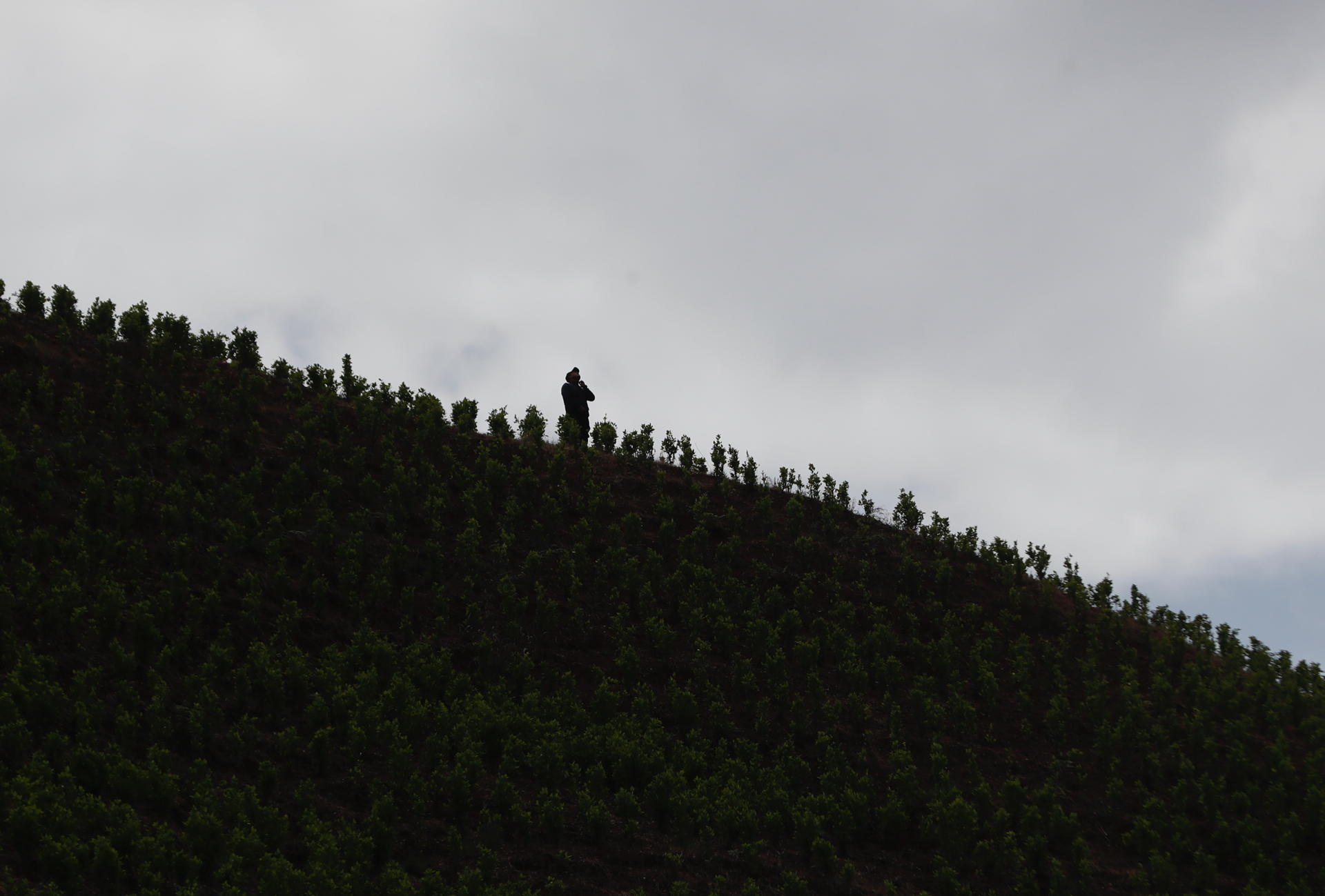 Gobierno colombiano y disidencia de las FARC establecen cronograma para diálogo de paz