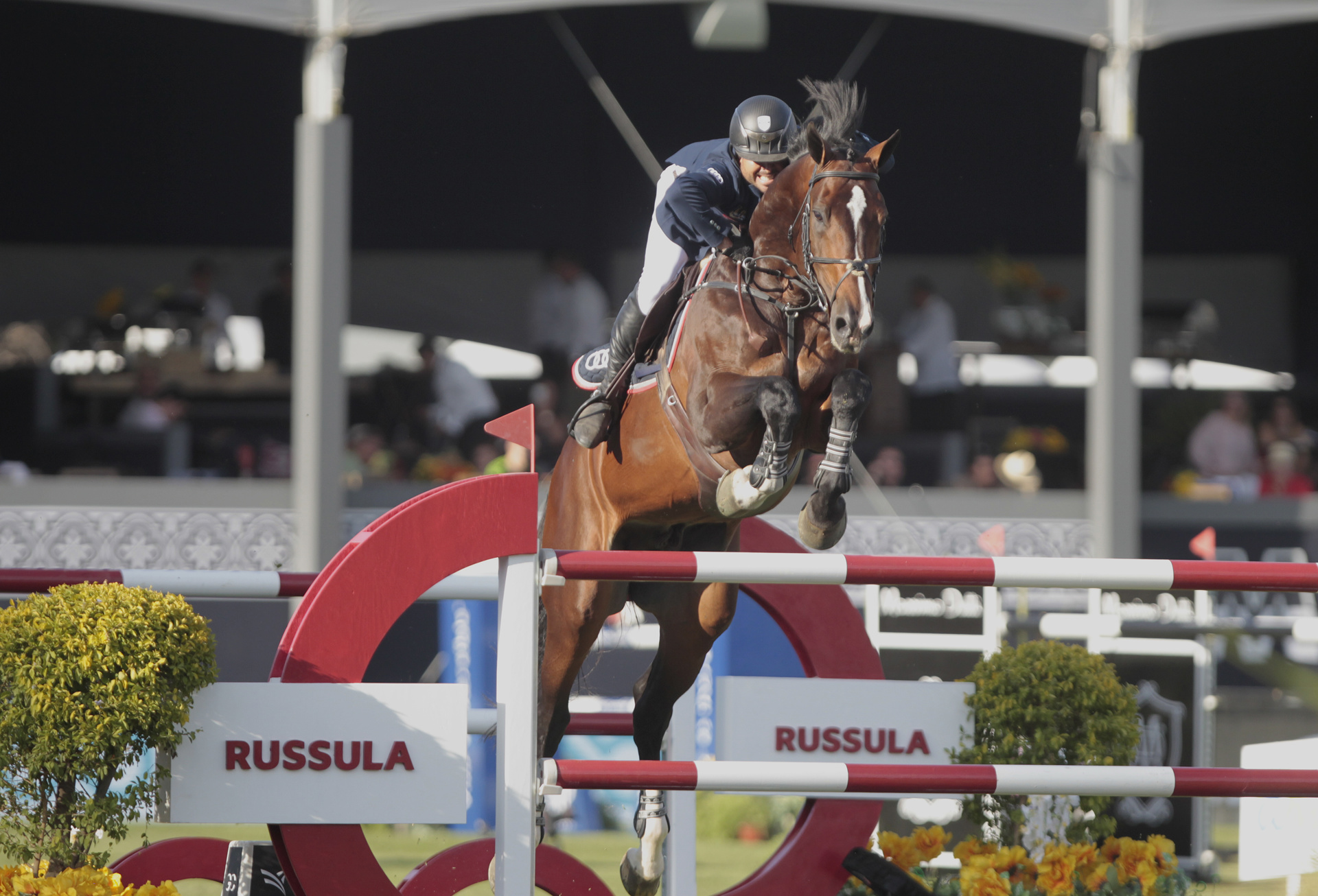 “Los humanos deberíamos aprender de la nobleza de los caballos”, asegura el jinete Nicolás Pizarro