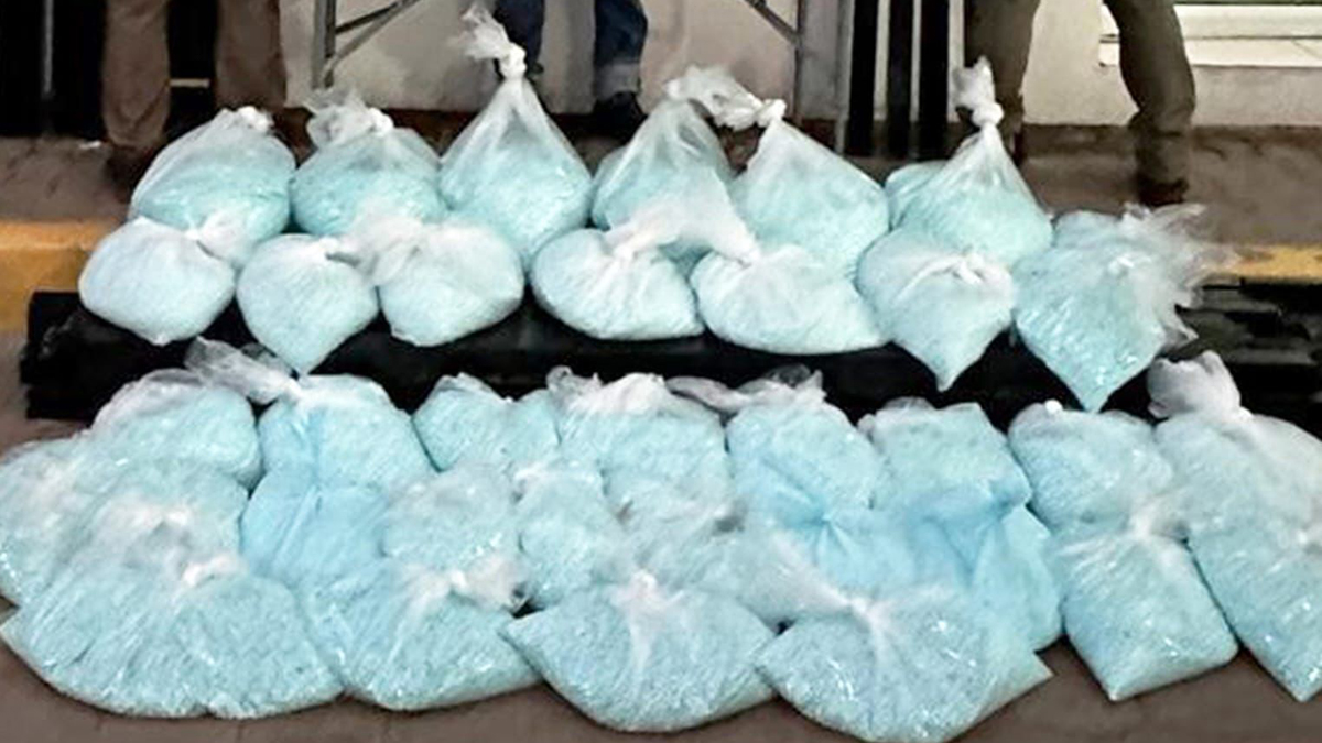 Descubren en Sinaloa más de 2 millones de pastillas de fentanilo Descubren en Sinaloa más de 2 millones de pastillas de fentanilo