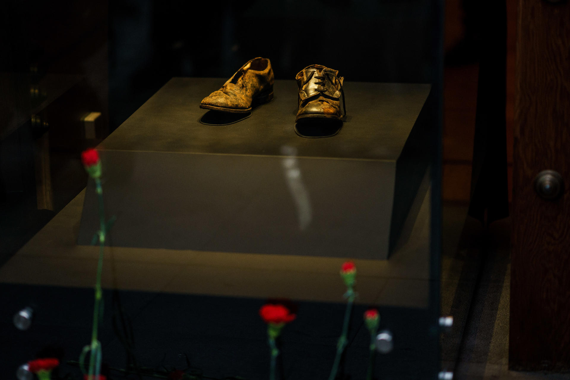 Café semanal de IDEA Internacional (10 al 16 de septiembre de 2023)