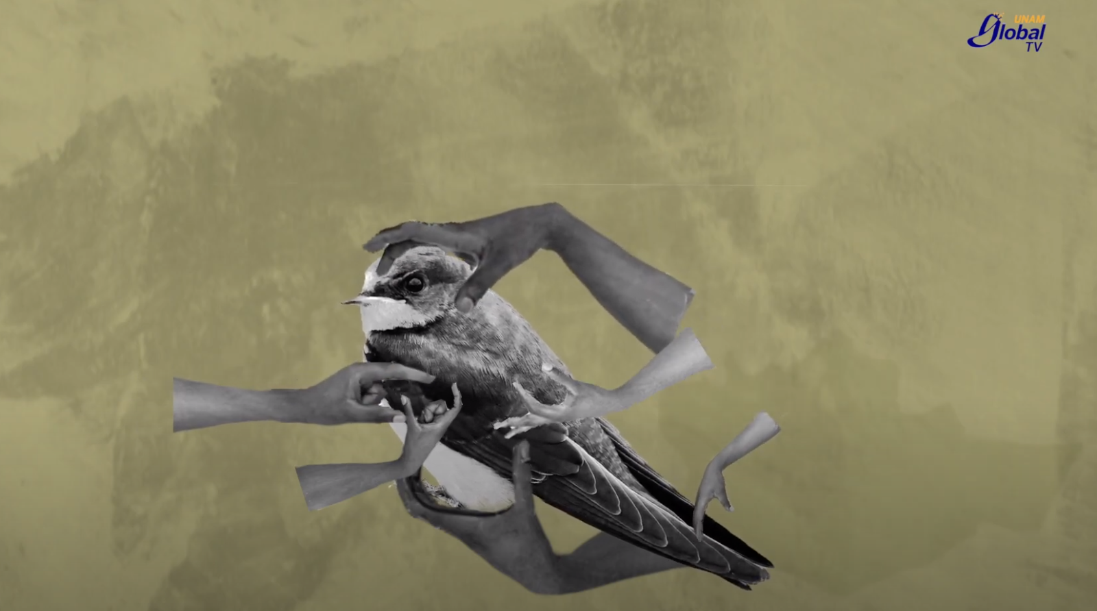 Trata de personas, un daño permanente en víctimas y familiares Trata de personas, un daño permanente en víctimas y familiares