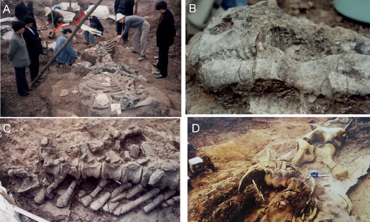 Descubren en China el conjunto de huevos y adultos de dinosaurios más antiguo del mundo