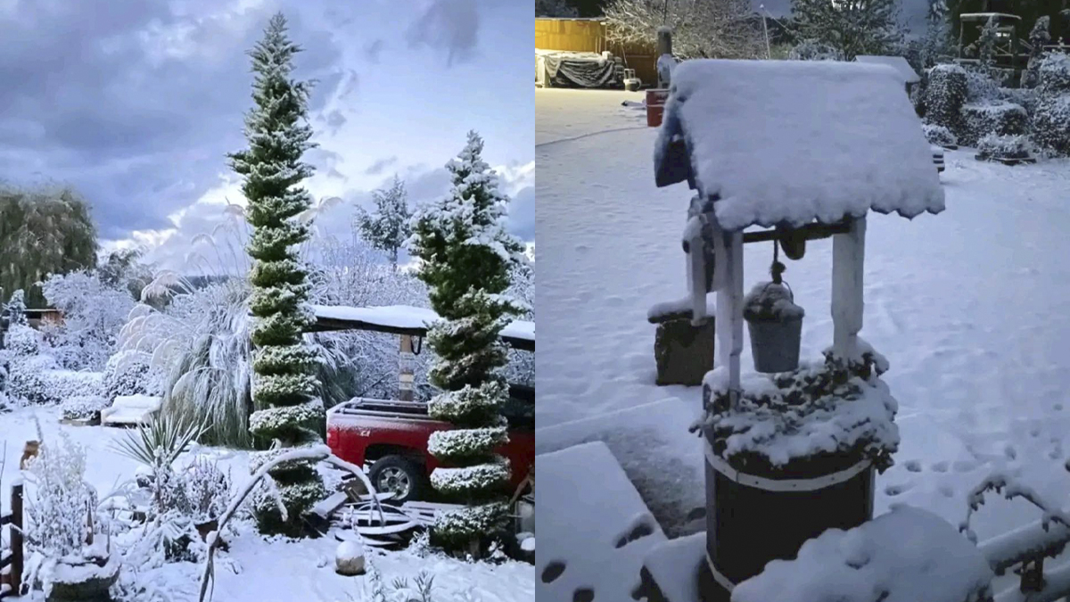 Primera tormenta invernal provoca nevadas en Durango, Sinaloa y Chihuahua Primera tormenta invernal provoca nevadas en Durango, Sinaloa y Chihuahua