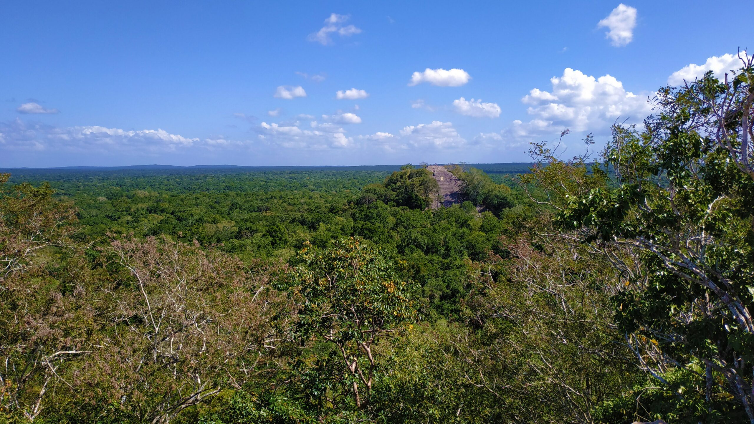 Desde Calakmul, UNAM estudiará impacto del cambio climático