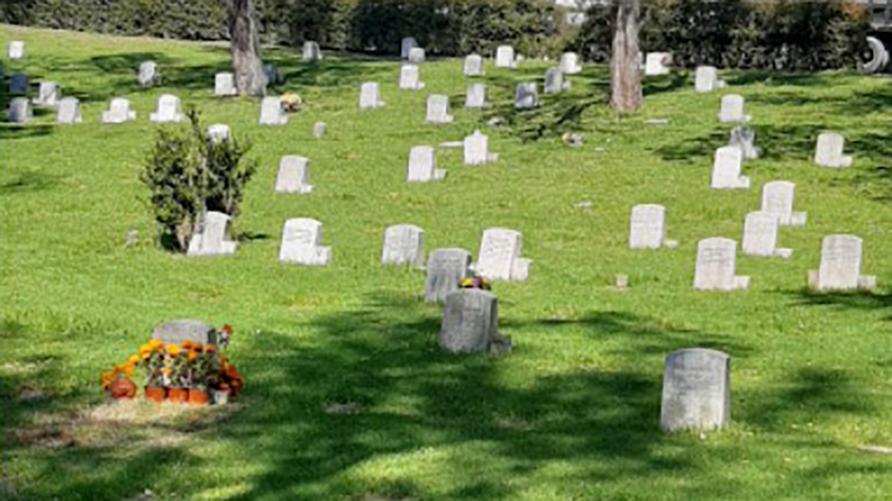 Enfrentamiento en panteón de Naucalpan deja un muerto y dos heridos Enfrentamiento en panteón de Naucalpan deja un muerto y dos heridos