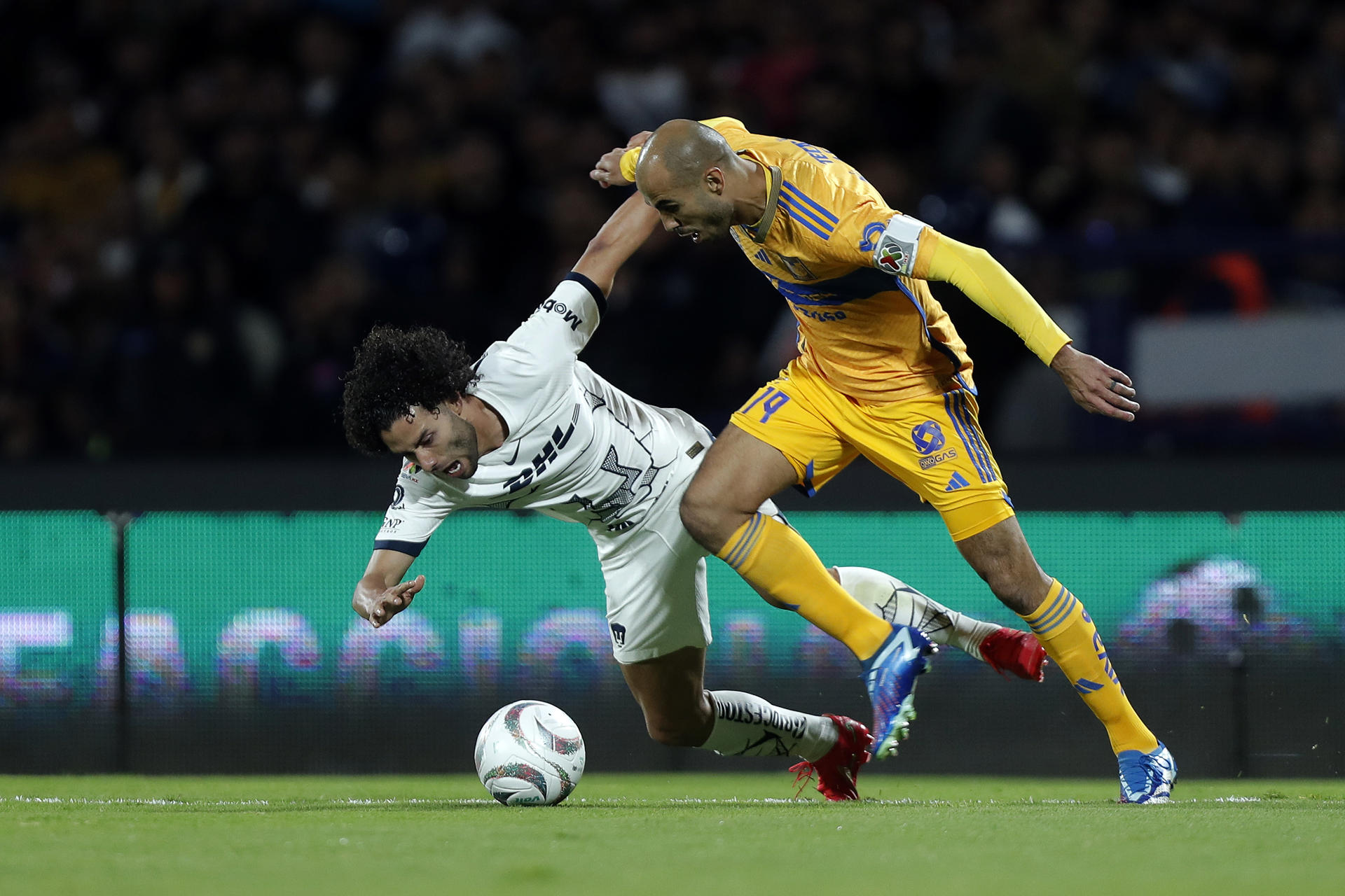 Tigres UANL reciben a Pumas con todo a favor para avanzar a la final Tigres UANL reciben a Pumas con todo a favor para avanzar a la final