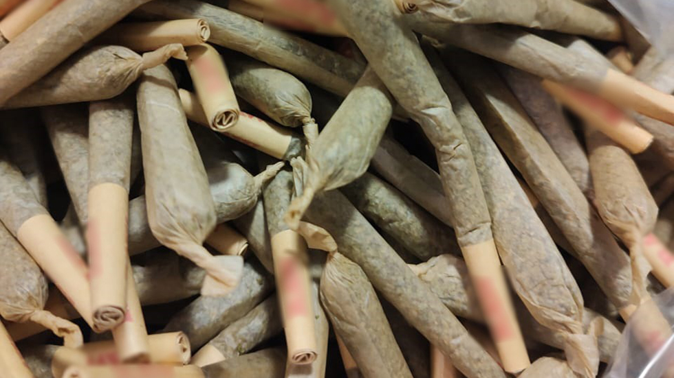 La Marcha de la Mariguana pide en Ecuador legalizar el cultivo La Marcha de la Mariguana pide en Ecuador legalizar el cultivo