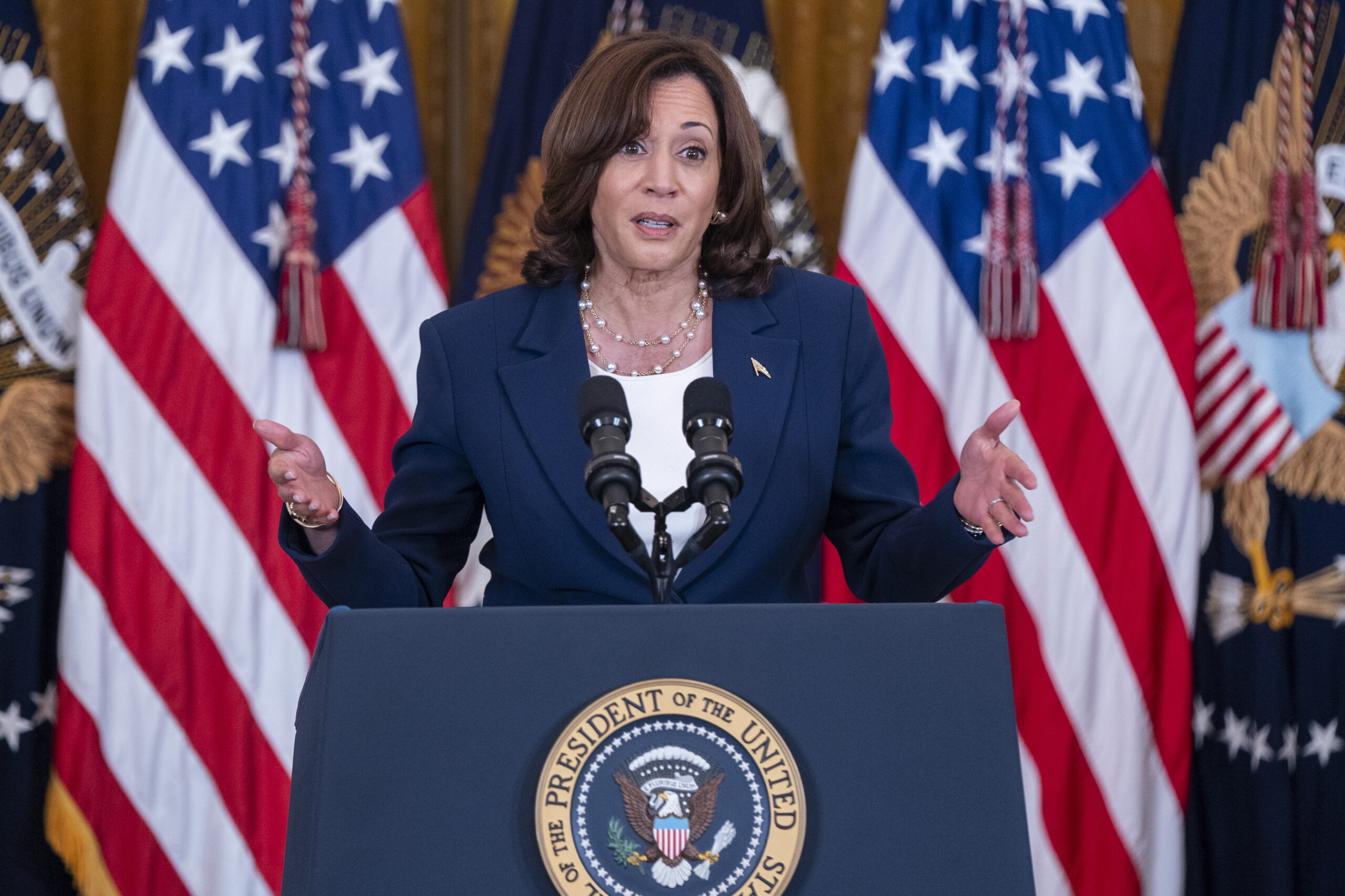 Kamala Harris asegura que EE.UU. no permitirá “reubicación forzosa” de palestinos Kamala Harris asegura que EE.UU. no permitirá “reubicación forzosa” de palestinos