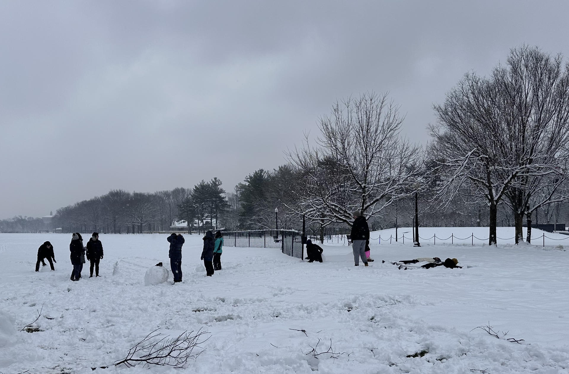 Tormenta invernal deja 89 muertos en Estados Unidos Tormenta invernal deja 89 muertos en Estados Unidos