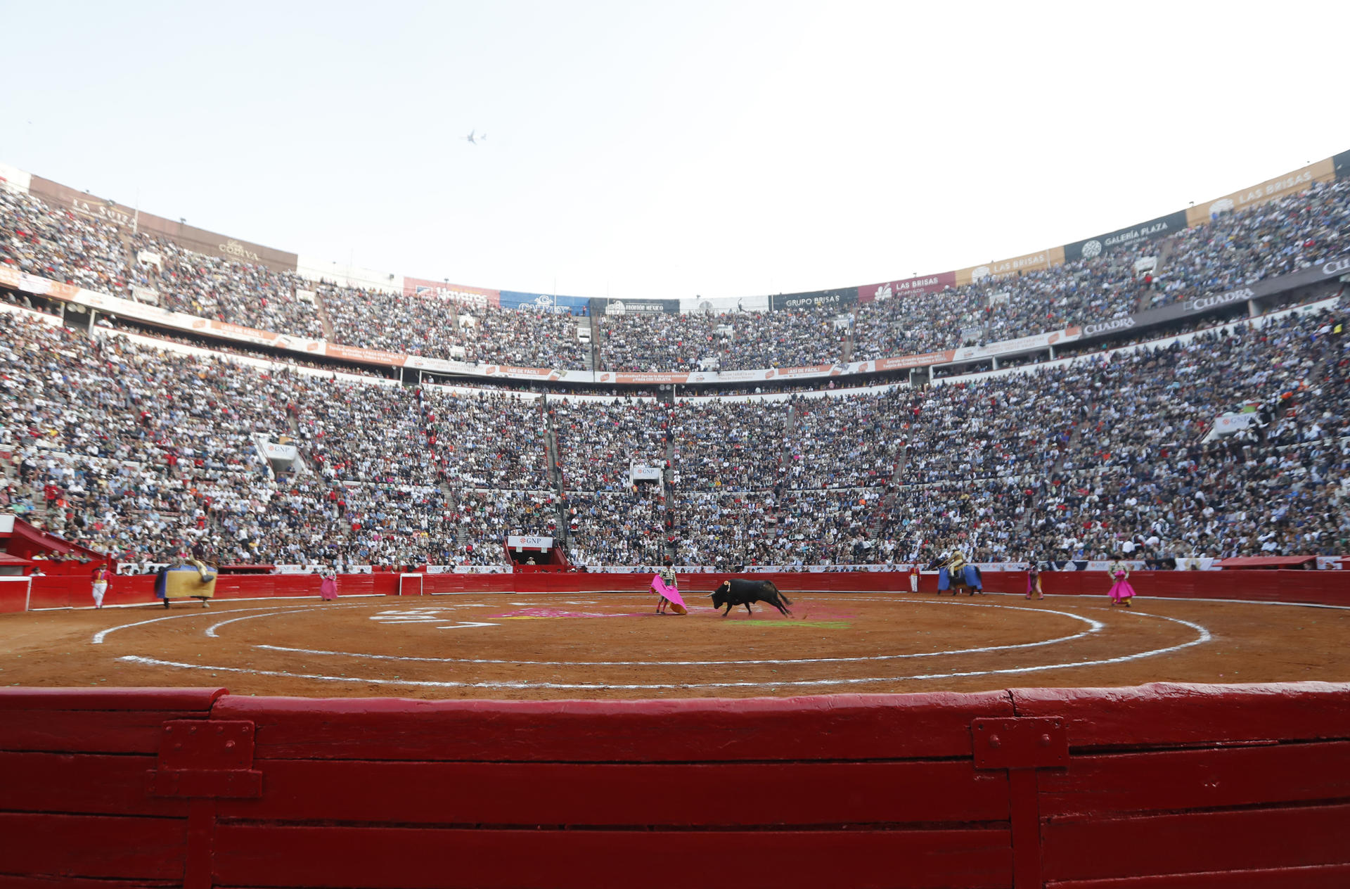 Jueza federal suspende corridas de toros en la Plaza México Jueza federal suspende corridas de toros en la Plaza México