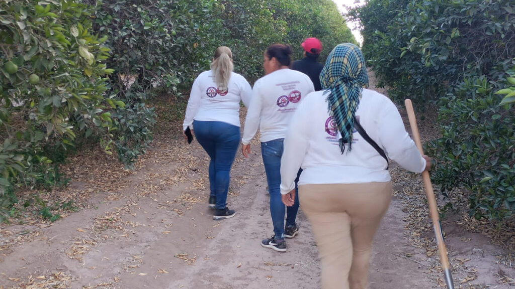 ONU pide a México proteger a las mujeres buscadoras
