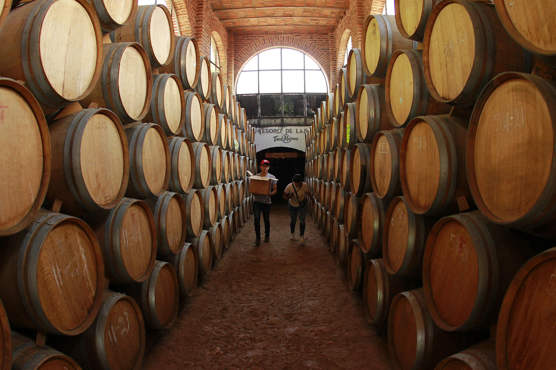 Consejo del Tequila de México estima exportación de 420 millones de litros en 2023 Consejo del Tequila de México estima exportación de 420 millones de litros en 2023