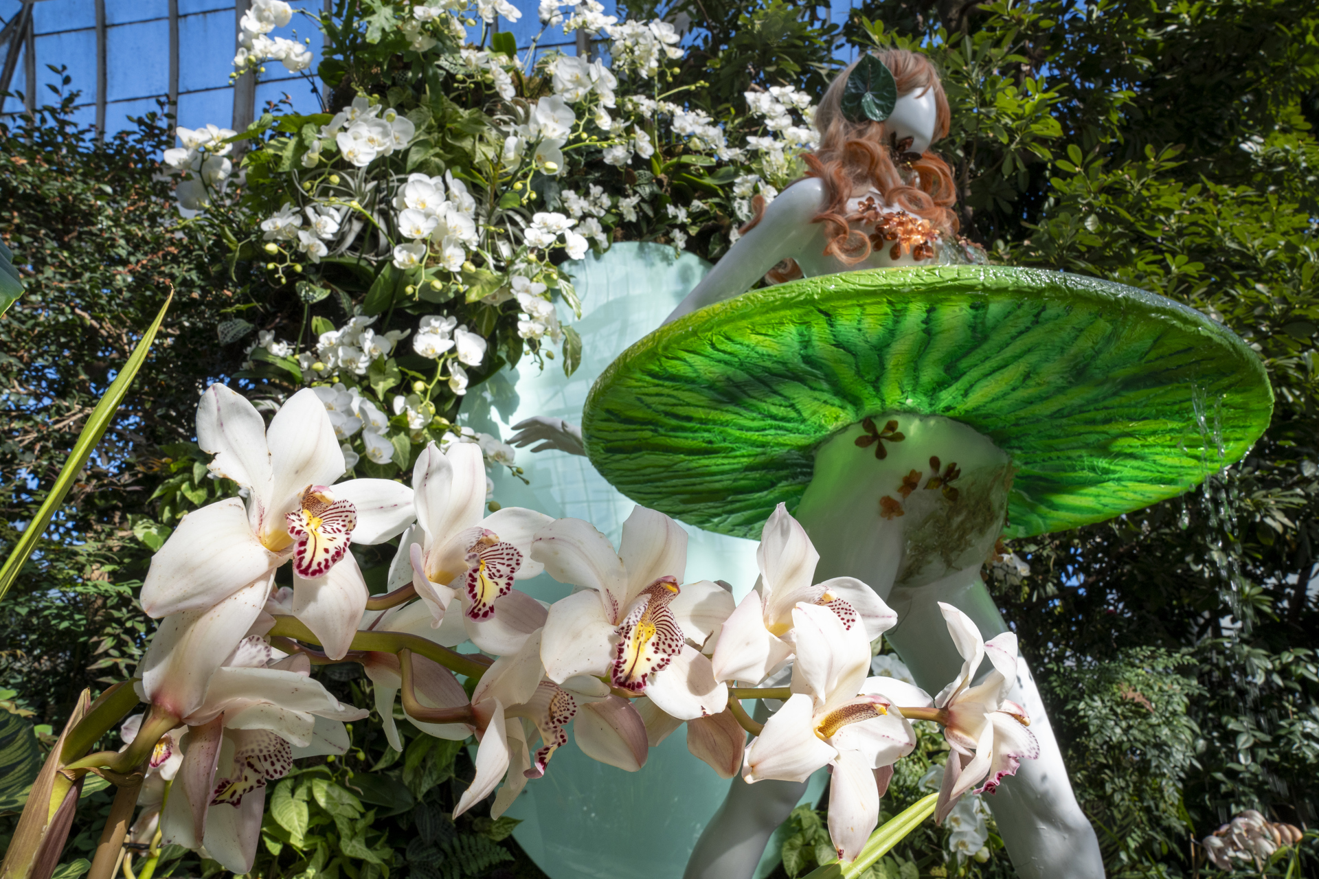Exhibición anual de orquídeas marca tendencia en el Jardín Botánico de Nueva York Exhibición anual de orquídeas marca tendencia en el Jardín Botánico de Nueva York