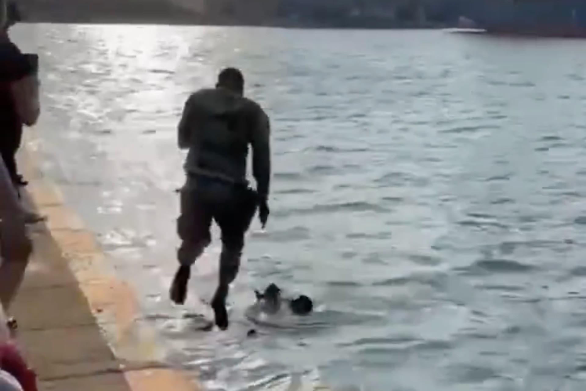 #Video Policías rescatan a bebé que cayó al mar en Veracruz #Video Policías rescatan a bebé que cayó al mar en Veracruz