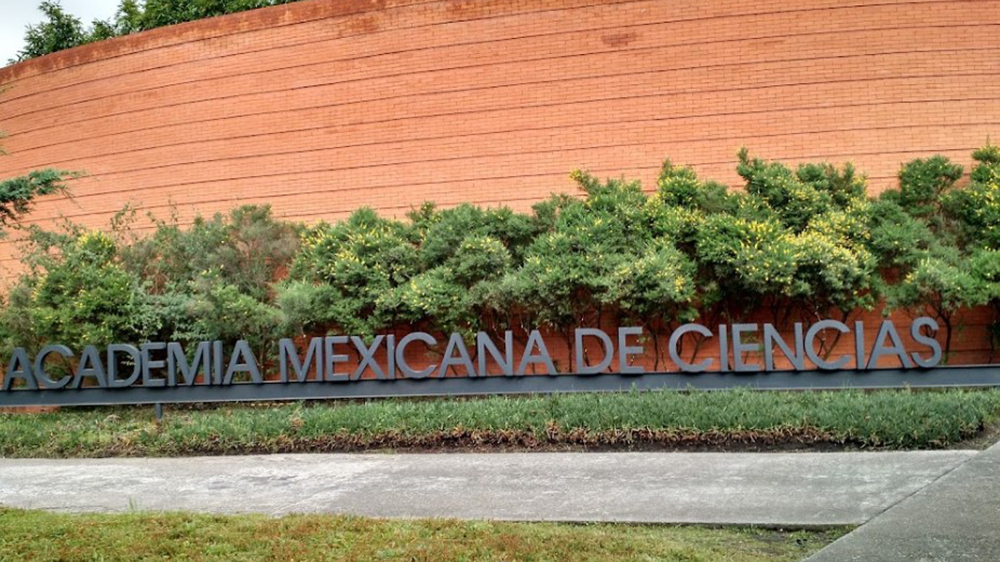 Álvarez-Buela resigns from the Mexican Academy of Sciences