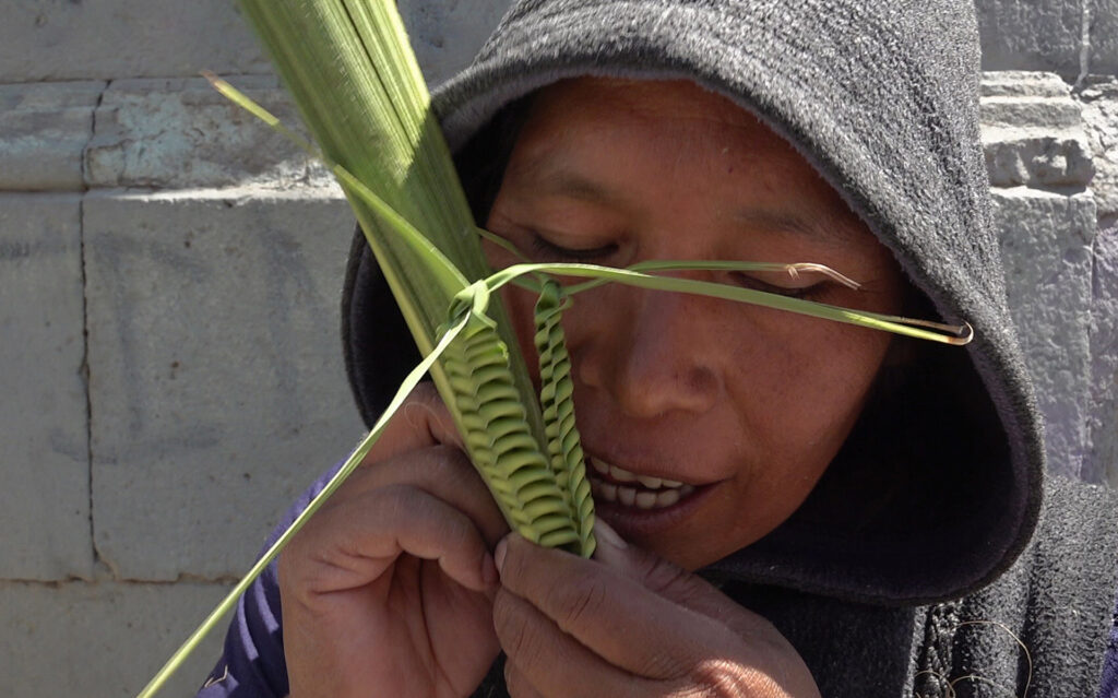 Artesanos de palma viven un "viacrucis" por sequía e incendios en Oaxaca - artesanos-de-palma-viven-un-22viacrucis22-por-sequia-e-incendios-en-oaxaca-1024x639