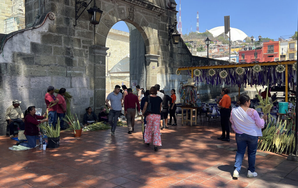 Artesanos de palma viven un "viacrucis" por sequía e incendios en Oaxaca - artesanos-de-palma-viven-un-22viacrucis22-por-sequia-e-incendios-en-oaxaca-2-1024x646