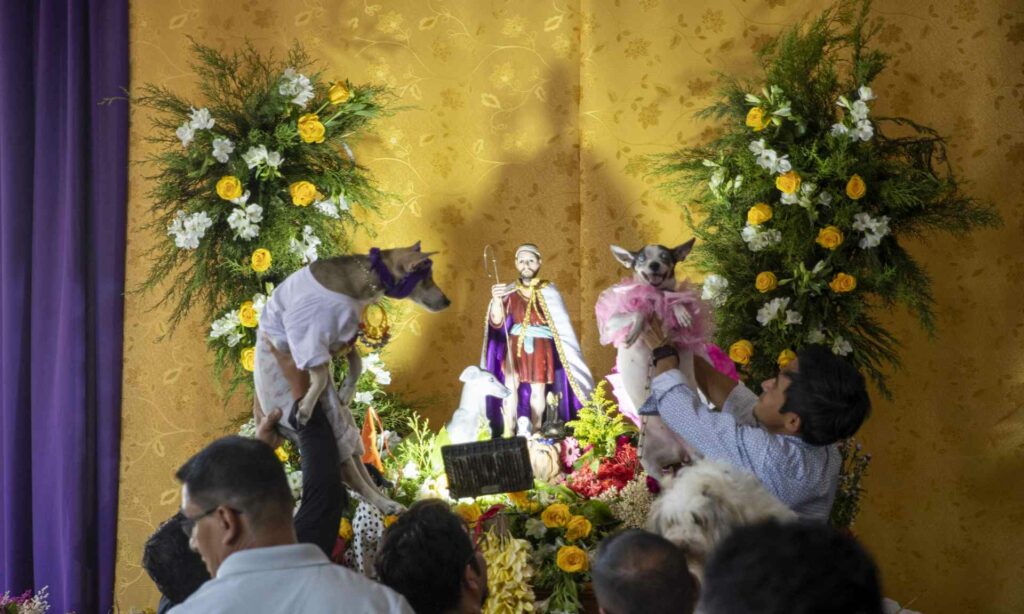 Bendicen a perros disfrazados en iglesia de Nicaragua - bendicen-a-perros-disfrazados-en-iglesia-de-nicaragua-1024x614