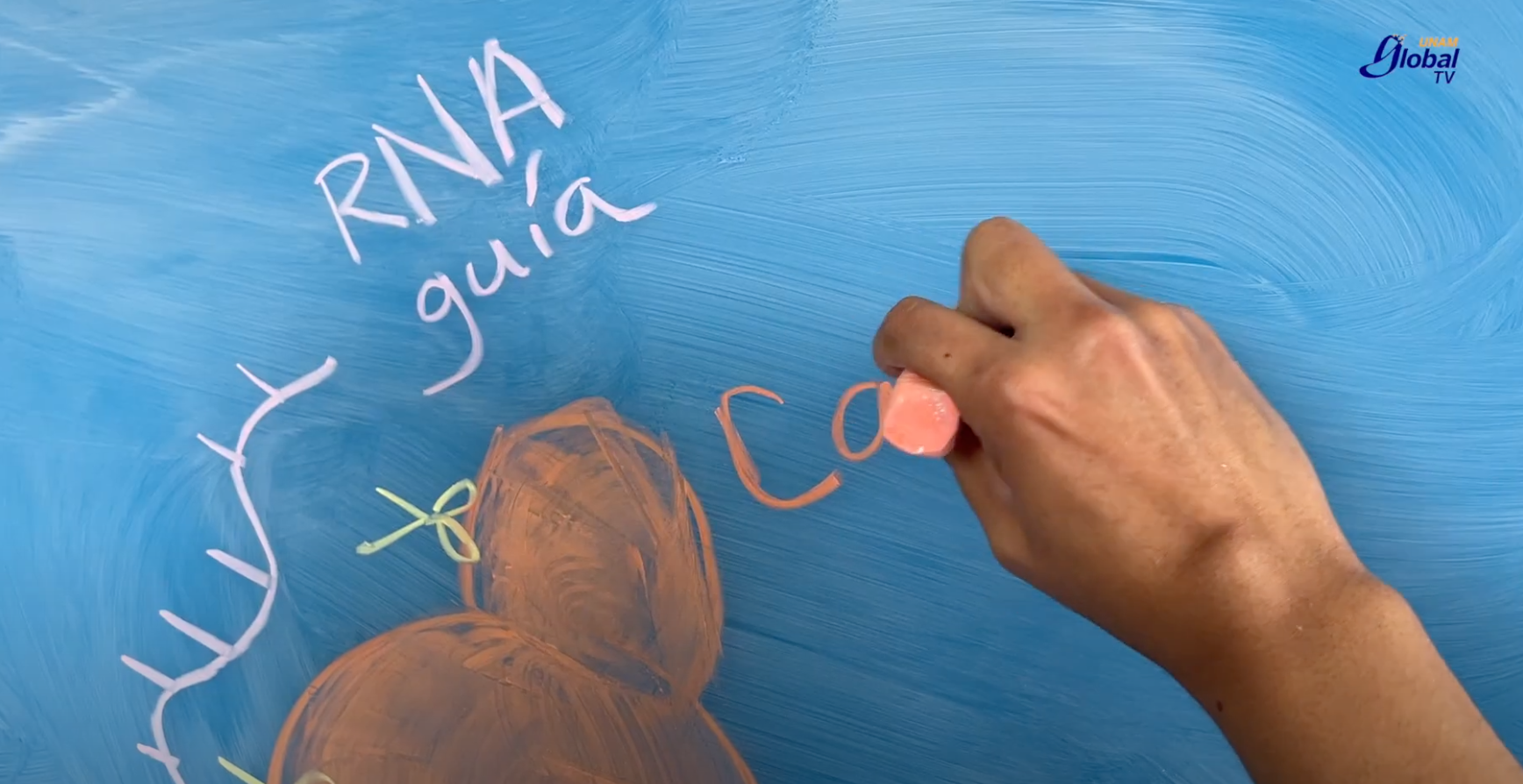 Corte y confección del genoma para tratar enfermedades Corte y confección del genoma para tratar enfermedades