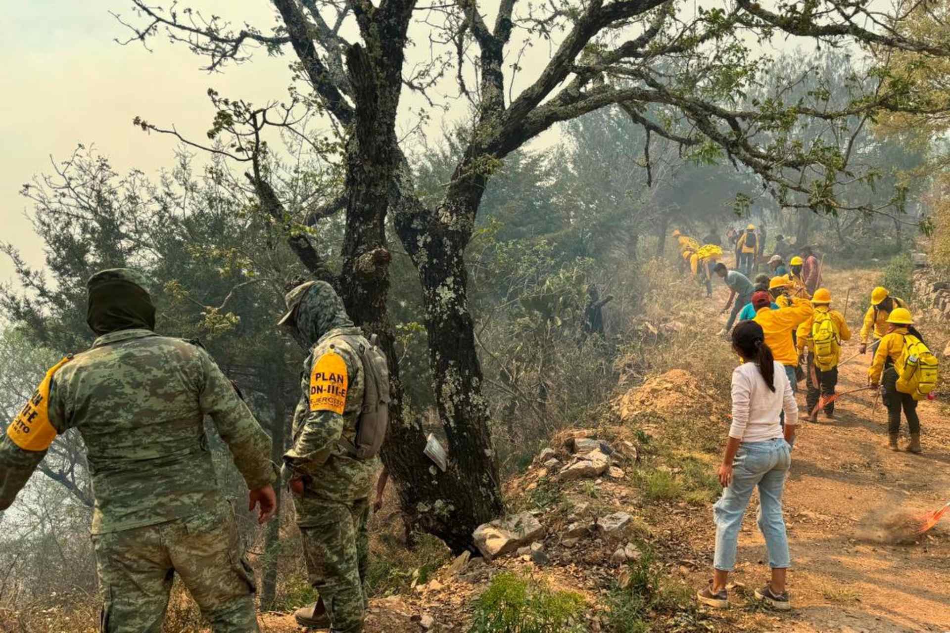 Incendio forestal en Pinal de Amoles, Querétaro, tiene extensión estimada de 80 hectáreas. Incendio forestal en Pinal de Amoles, Querétaro, tiene extensión estimada de 80 hectáreas.