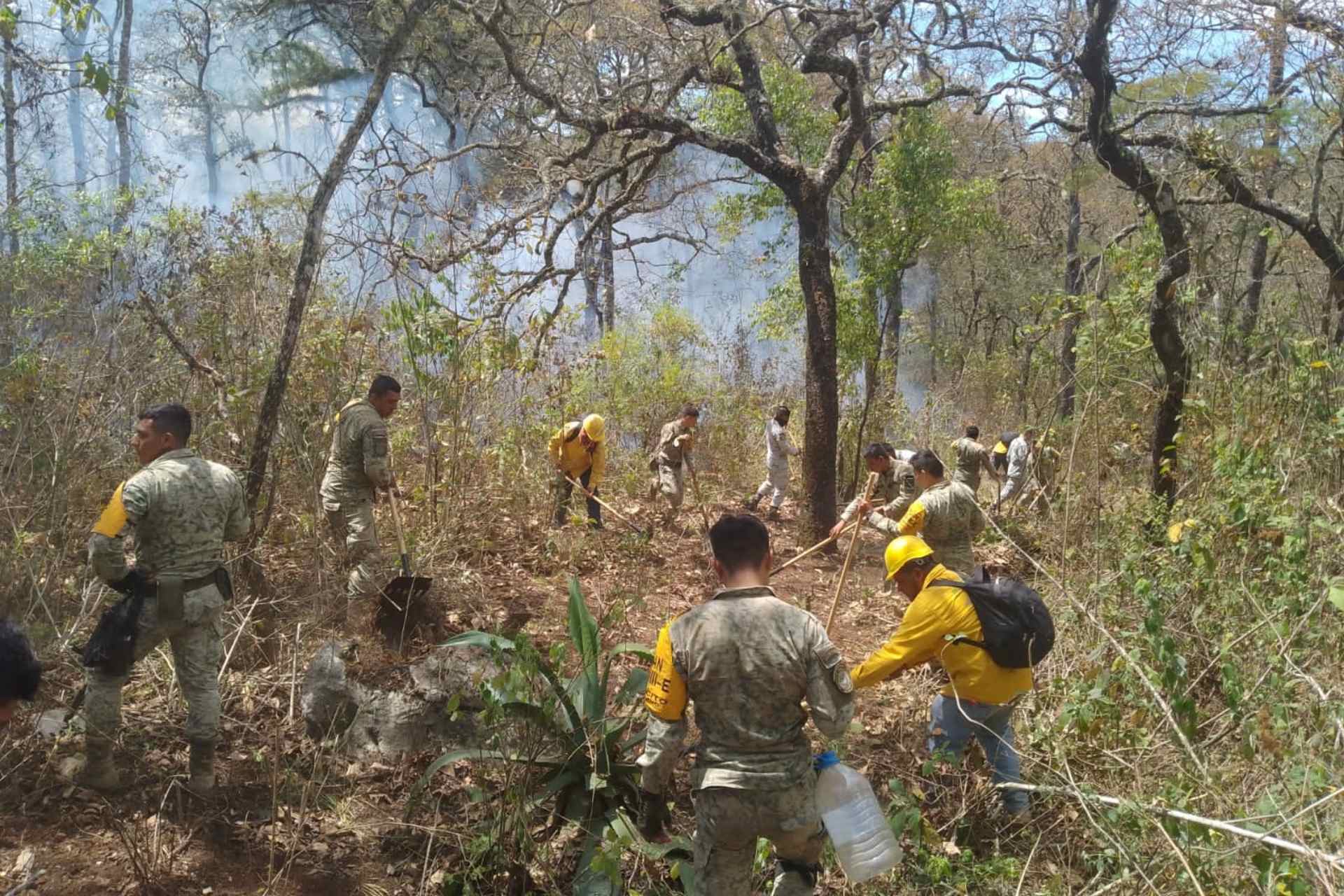 Conafor reporta 113 incendios forestales activos