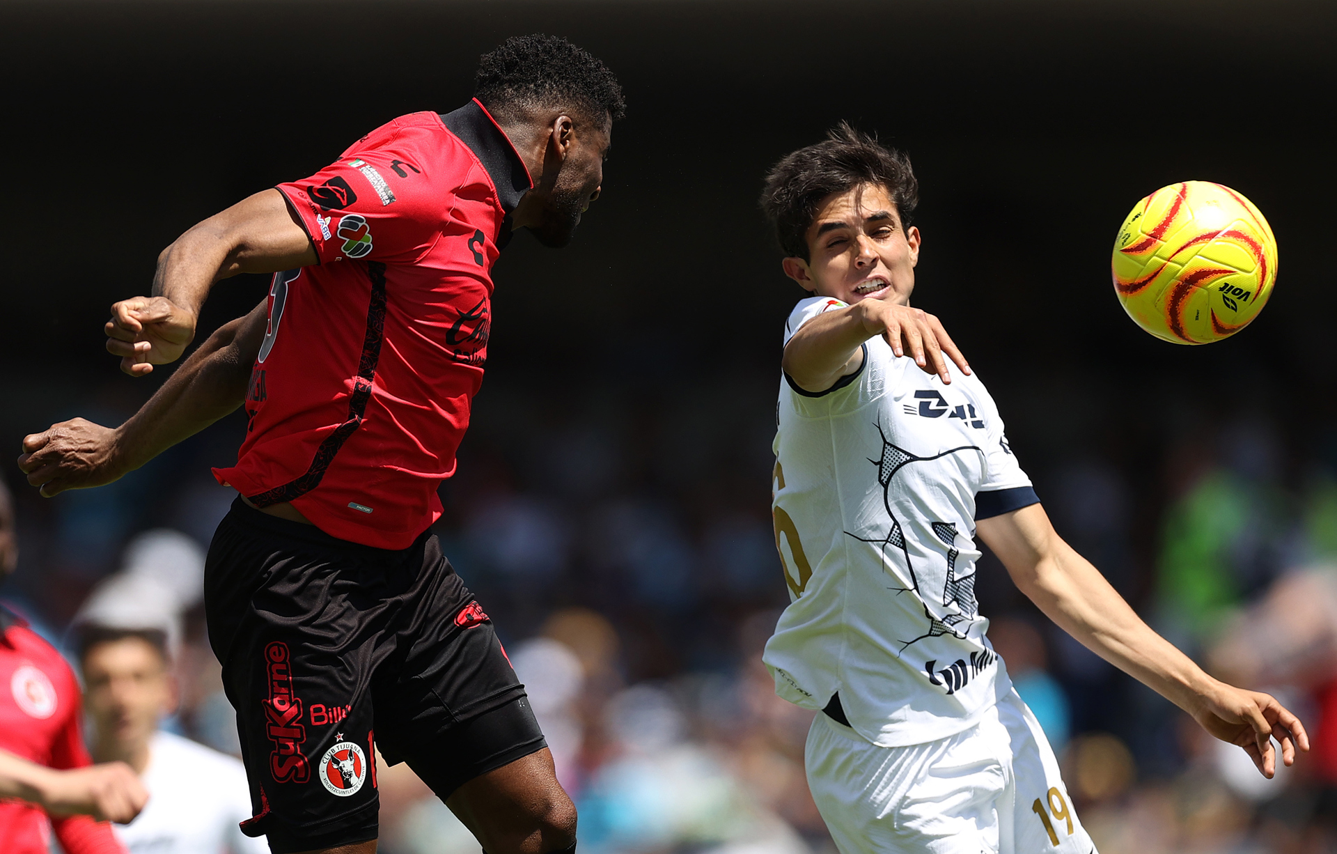 Pumas y Tijuana empatan a tres goles y se reparten puntos Pumas y Tijuana empatan a tres goles y se reparten puntos