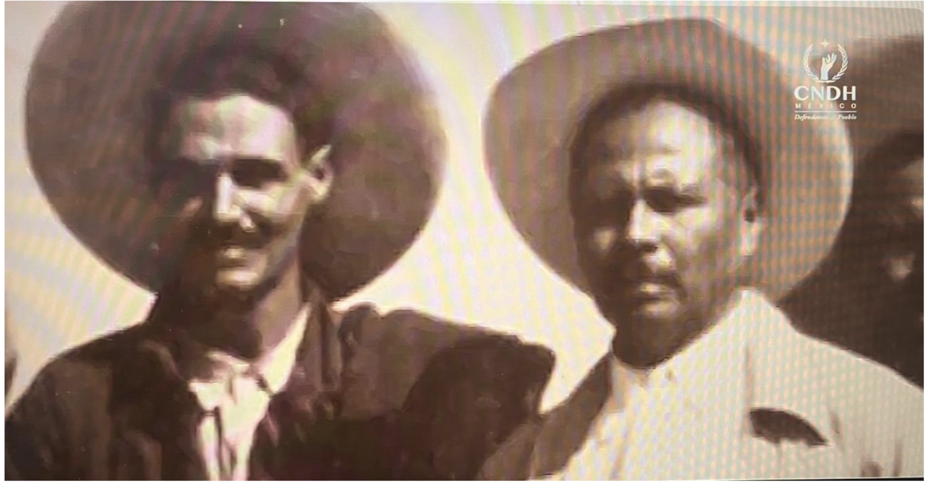 Guajolote que se sale del corral, termina en mole Guajolote que se sale del corral, termina en mole