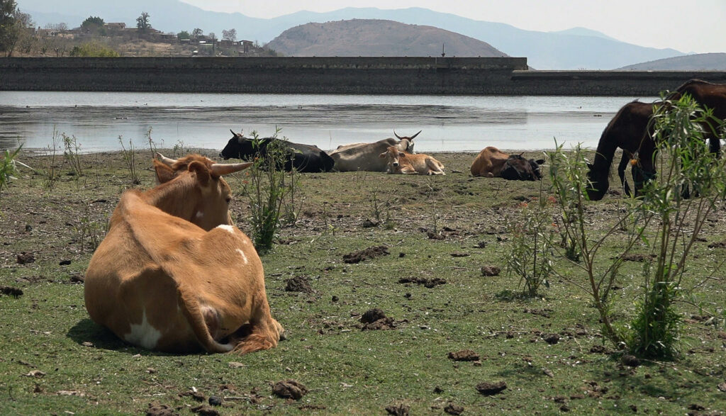 Sequía azota a Oaxaca, uno de los estados más pobres del país - sequia-en-oaxaca-1024x587
