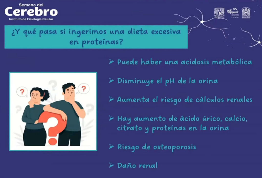 Ganar masa muscular por consumo excesivo de proteínas podria dañar la salud - 2691-1024x695